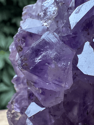 Capilla Amatista mini #41