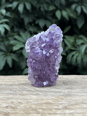 Capilla Amatista mini #41