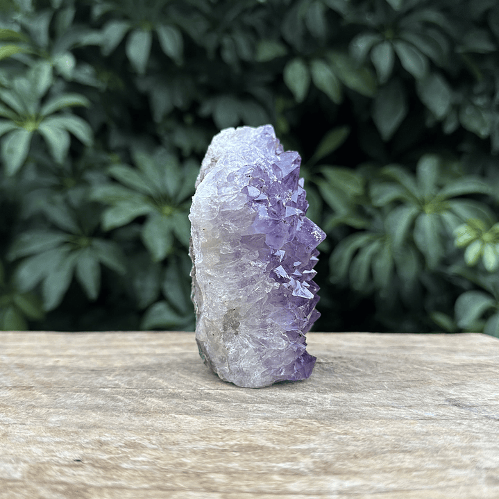 Capilla Amatista mini #41 4