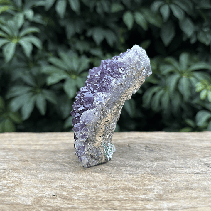 Capilla Amatista mini #42 4