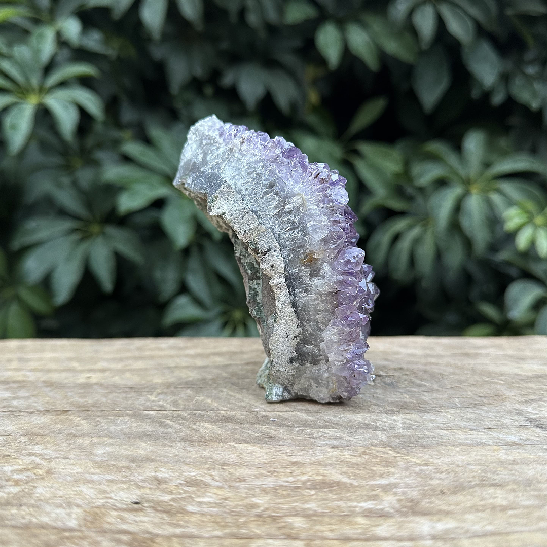 Capilla Amatista mini #42 5