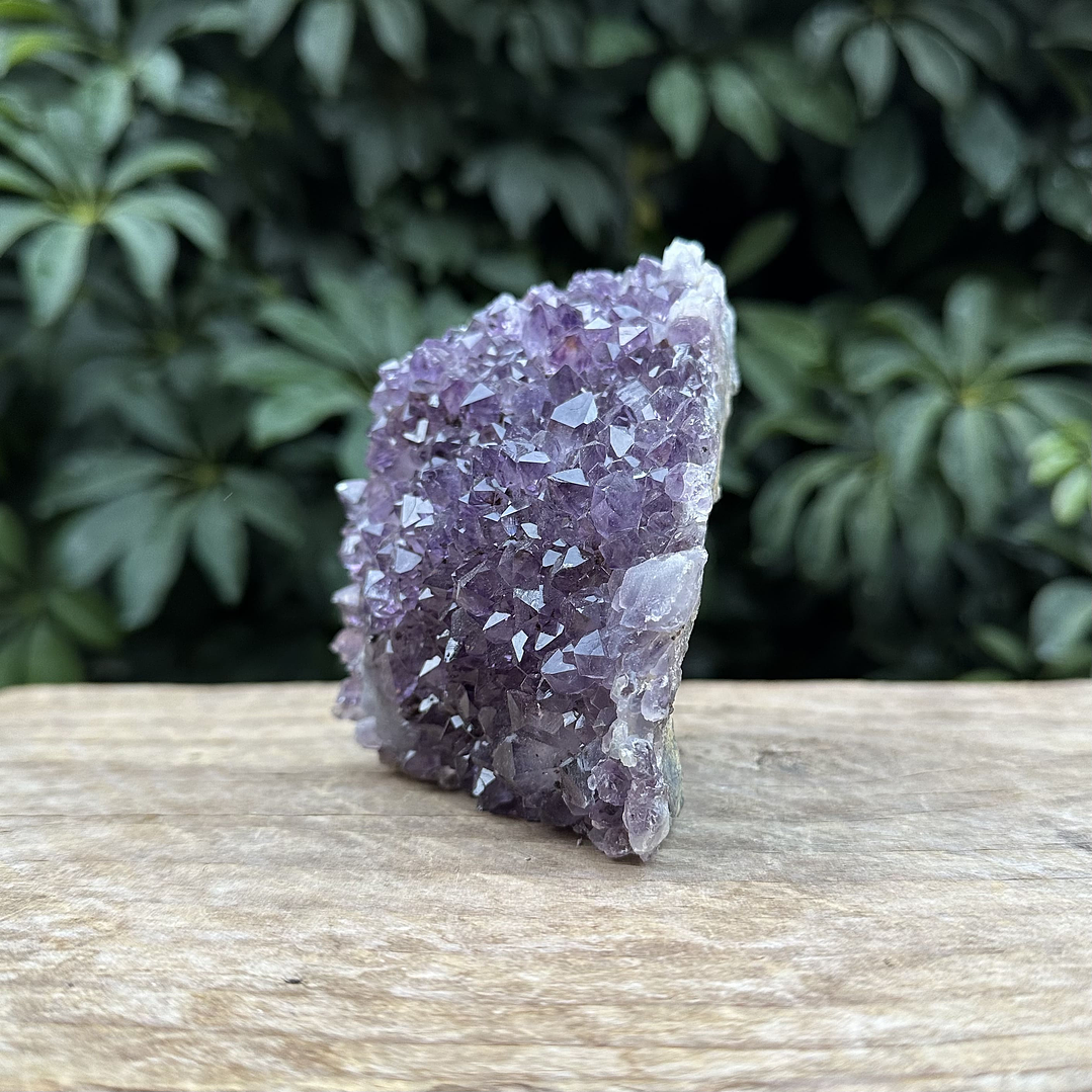 Capilla Amatista mini #42 3