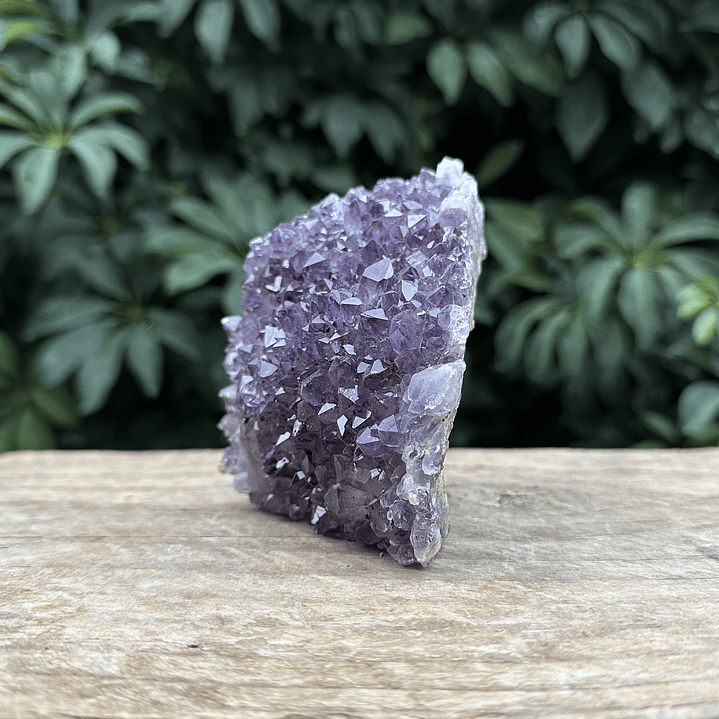 Capilla Amatista mini #42 3