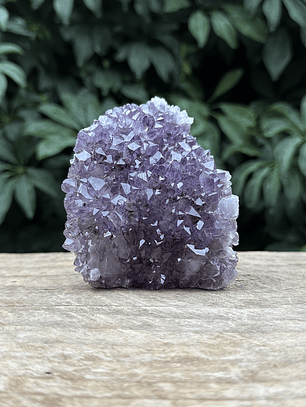 Capilla Amatista mini #42