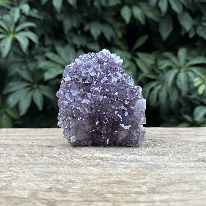 Capilla Amatista mini #42 1