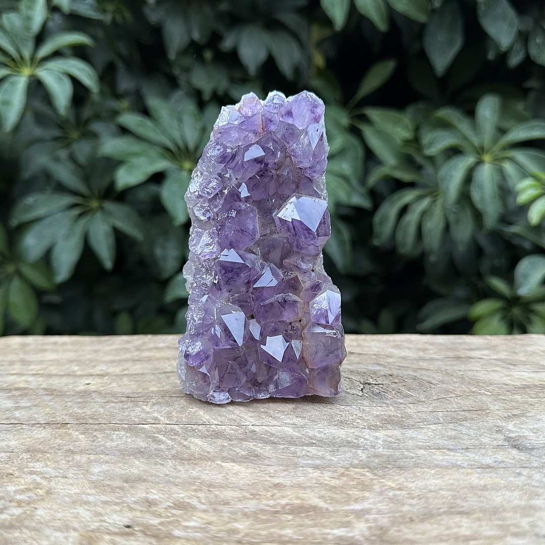 Capilla Amatista mini #43 1