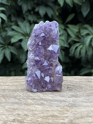 Capilla Amatista mini #43