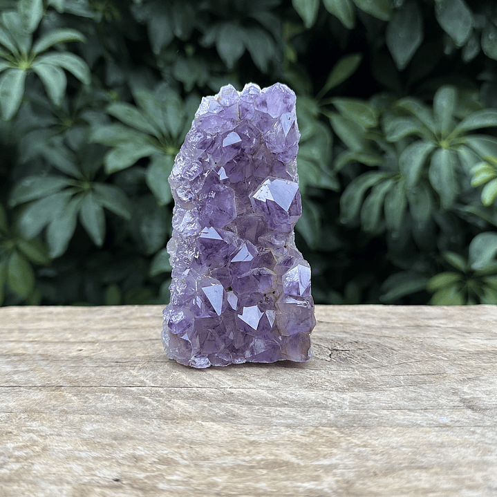 Capilla Amatista mini #43 1