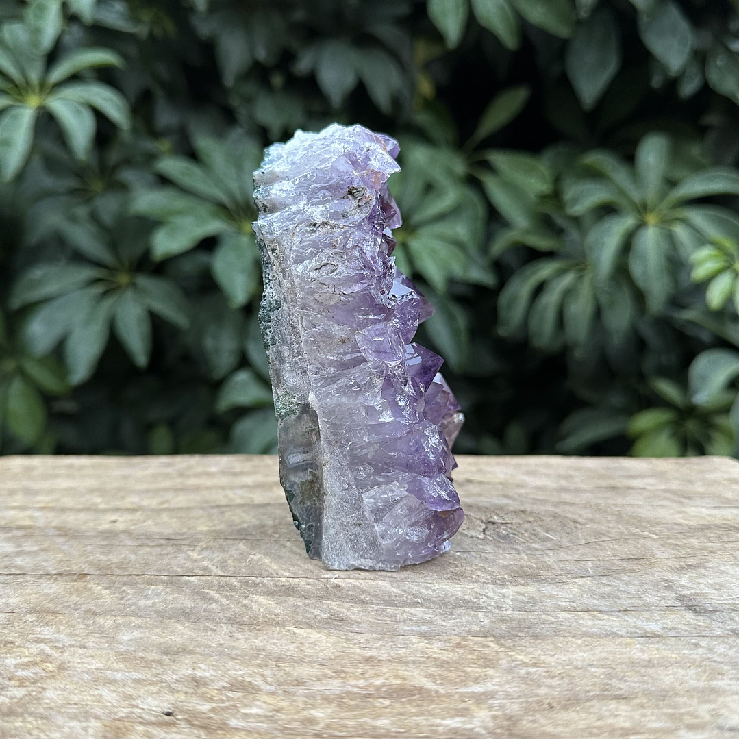 Capilla Amatista mini #43 4