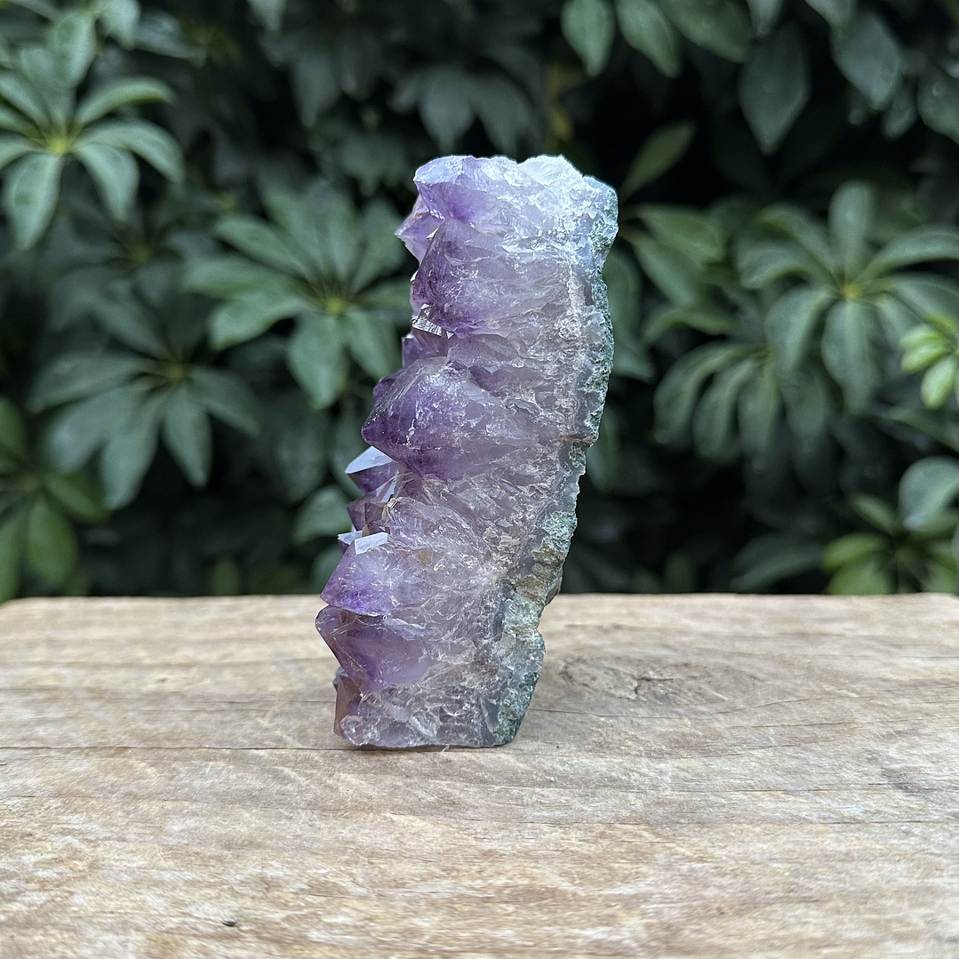 Capilla Amatista mini #43 3