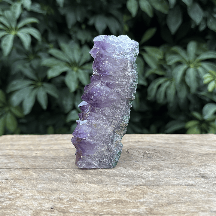 Capilla Amatista mini #43 3