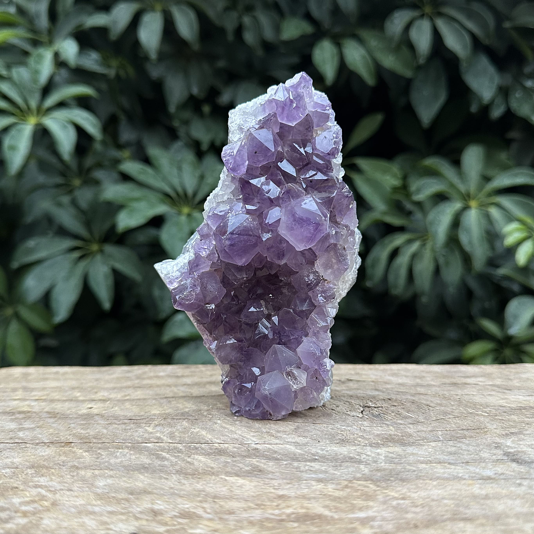 Capilla Amatista mini #44 1