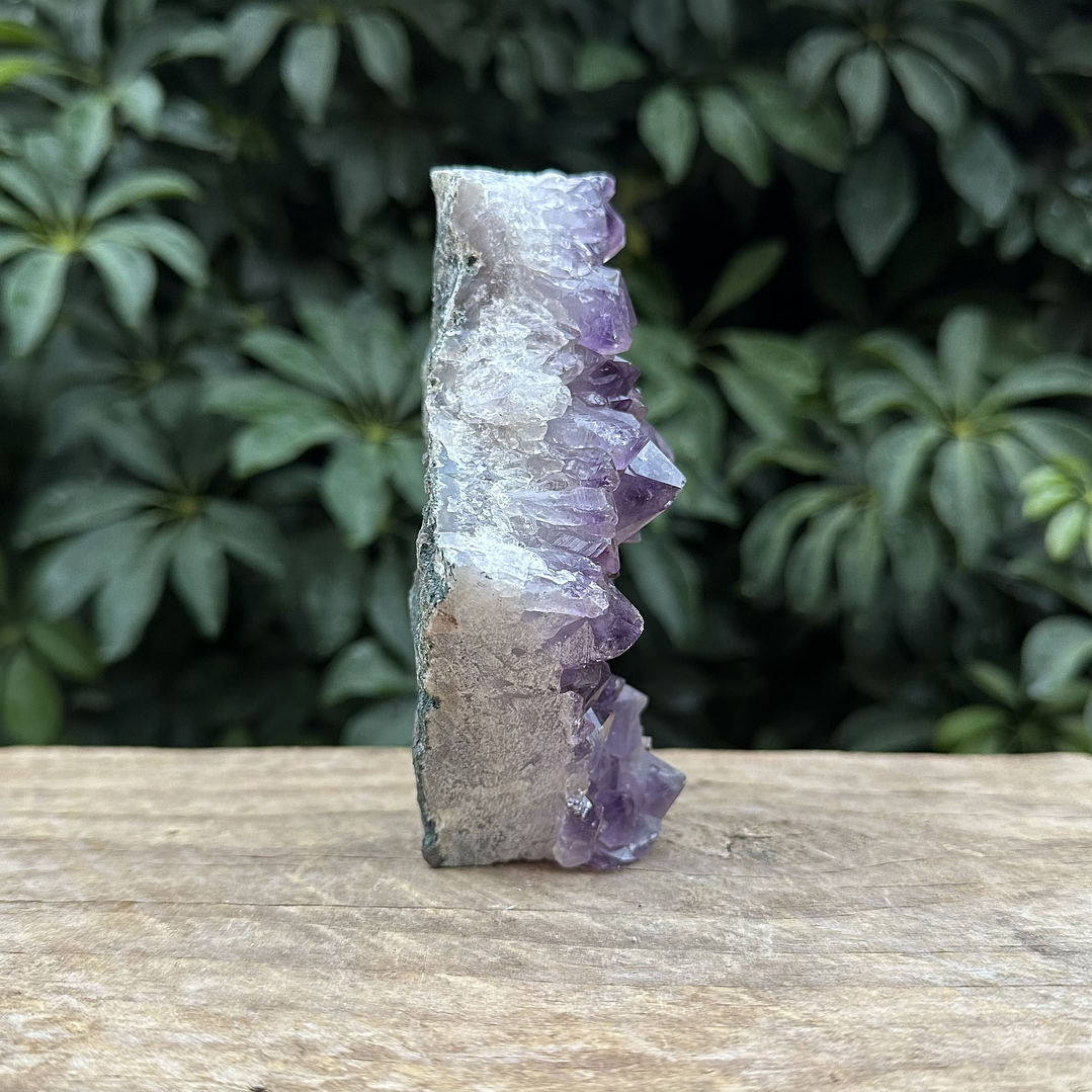 Capilla Amatista mini #44 4