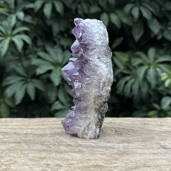 Capilla Amatista mini #44 3