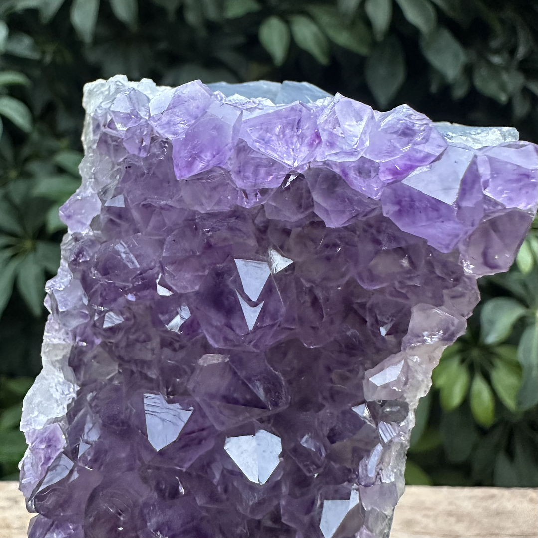 Capilla Amatista mini #45 1