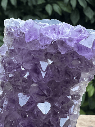 Capilla Amatista mini #45