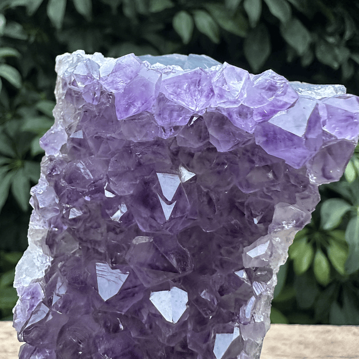 Capilla Amatista mini #45 1