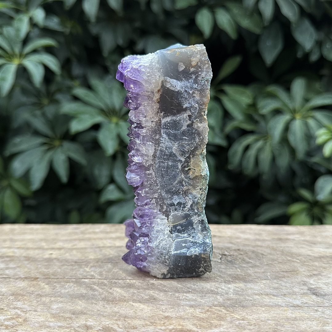 Capilla Amatista mini #45 3