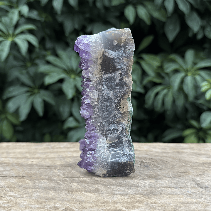 Capilla Amatista mini #45 3