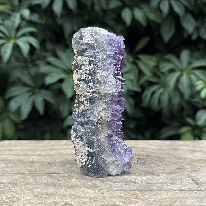 Capilla Amatista mini #45 4