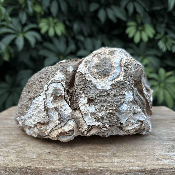 Gruta Geoda de Ágata #35 9