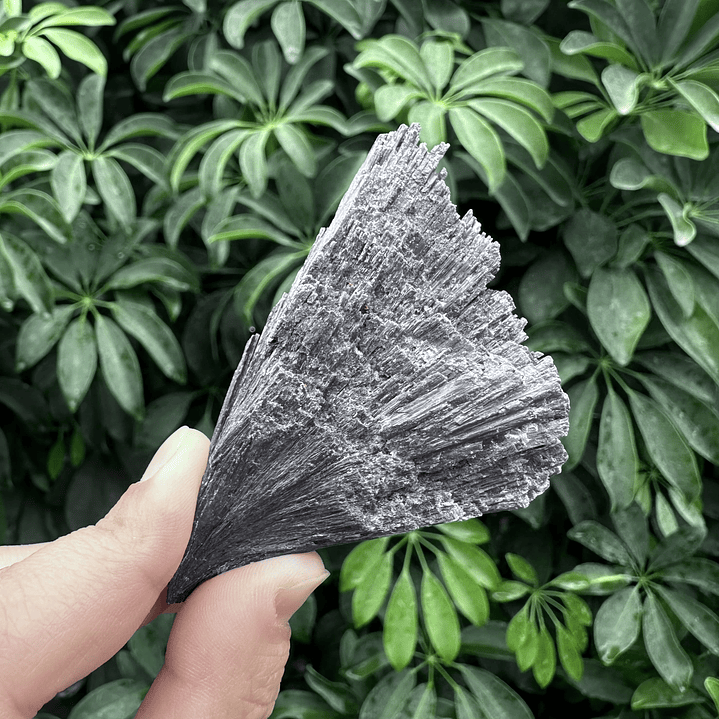 Cianita negra en bruto #17 1