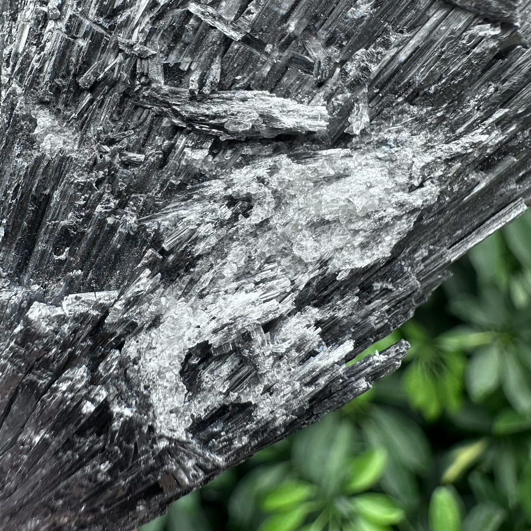 Cianita negra en bruto #17 5