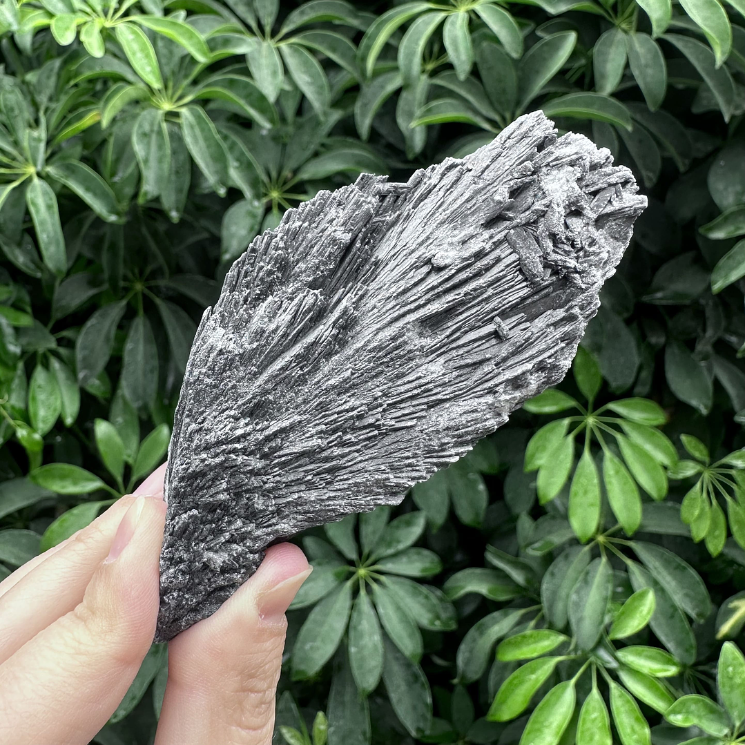 Cianita negra en bruto #18 1