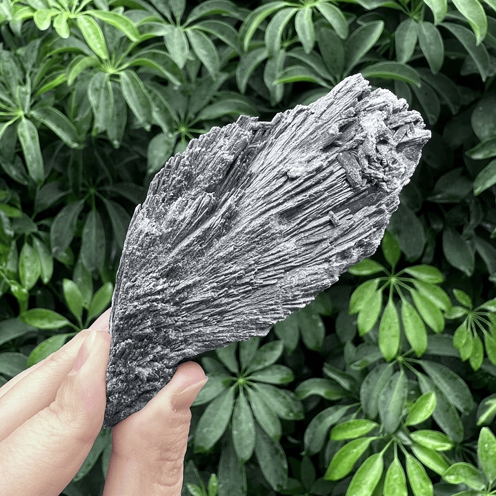 Cianita negra en bruto #18 1