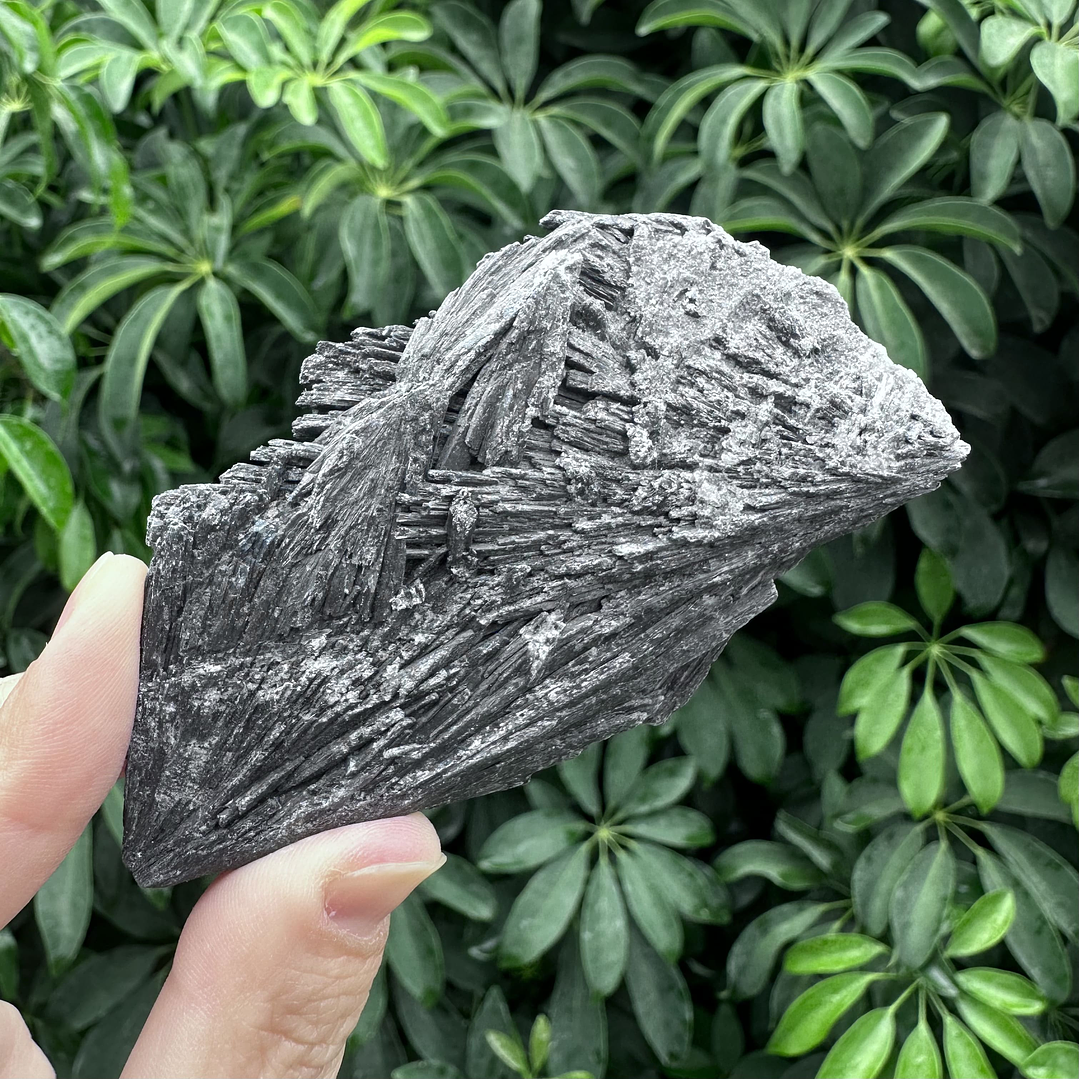 Cianita negra en bruto #19 1