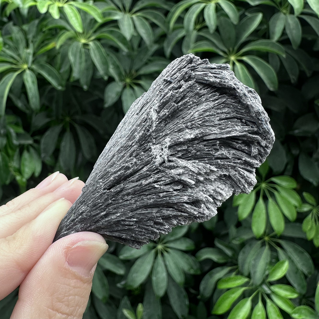 Cianita negra en bruto #20 1