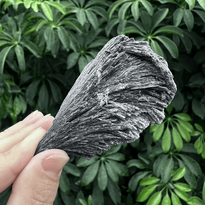 Cianita negra en bruto #20 1