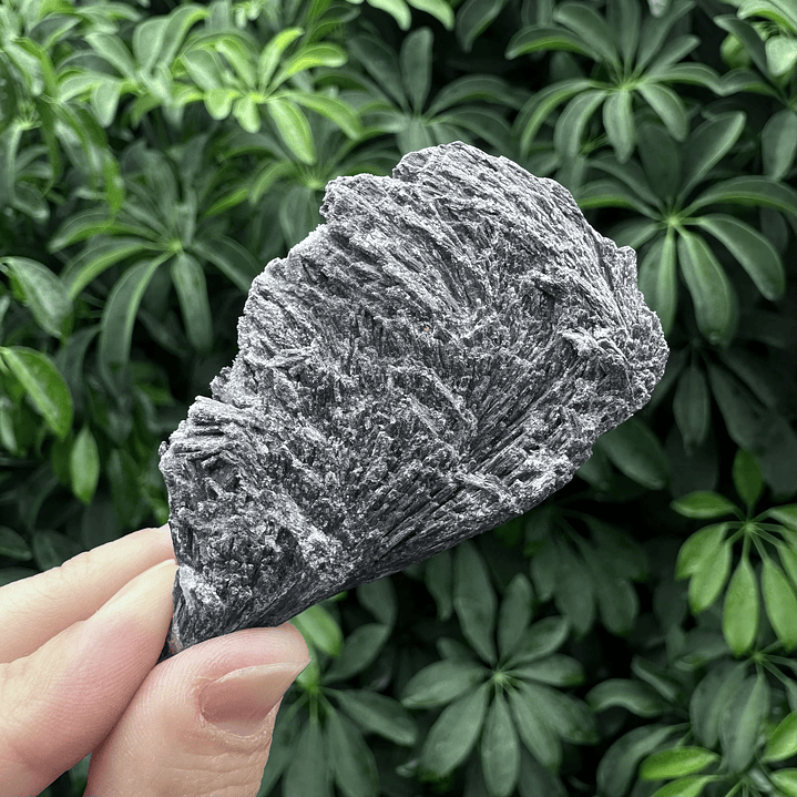 Cianita negra en bruto #20 3