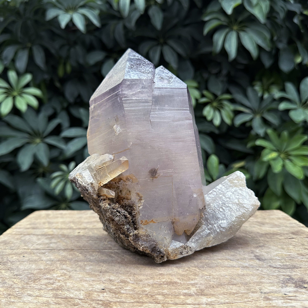 Punta de Amatista Natural chilena #14 1