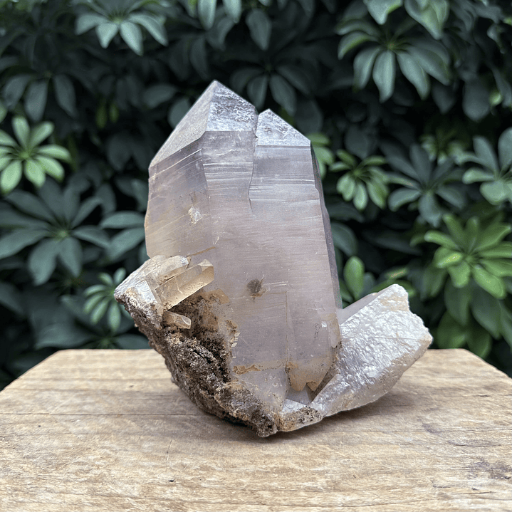 Punta de Amatista Natural chilena #14 1