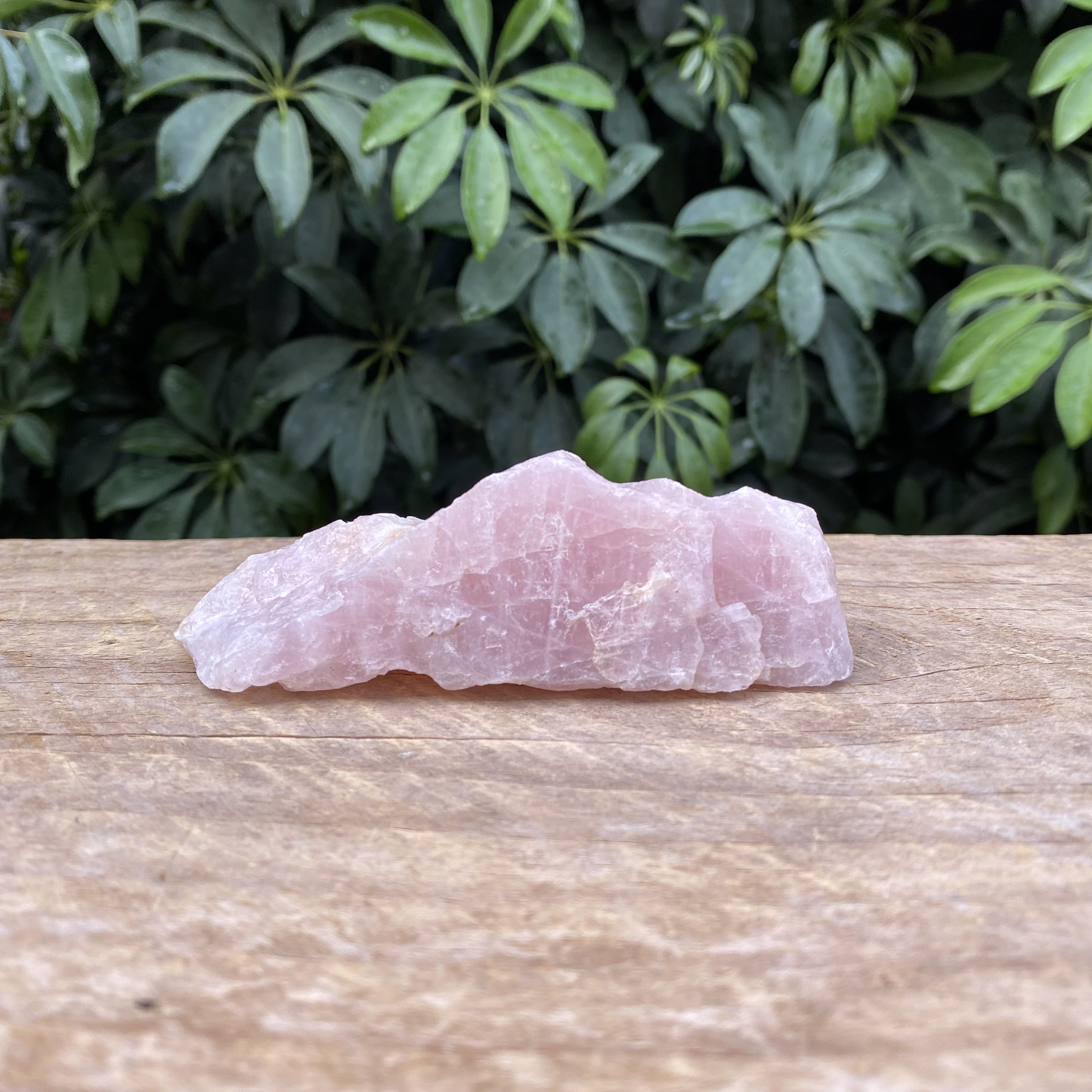 Cuarzo Rosa en bruto #9 | Fractal Minerales