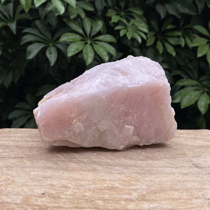 Cuarzo Rosa en bruto XL #5 2