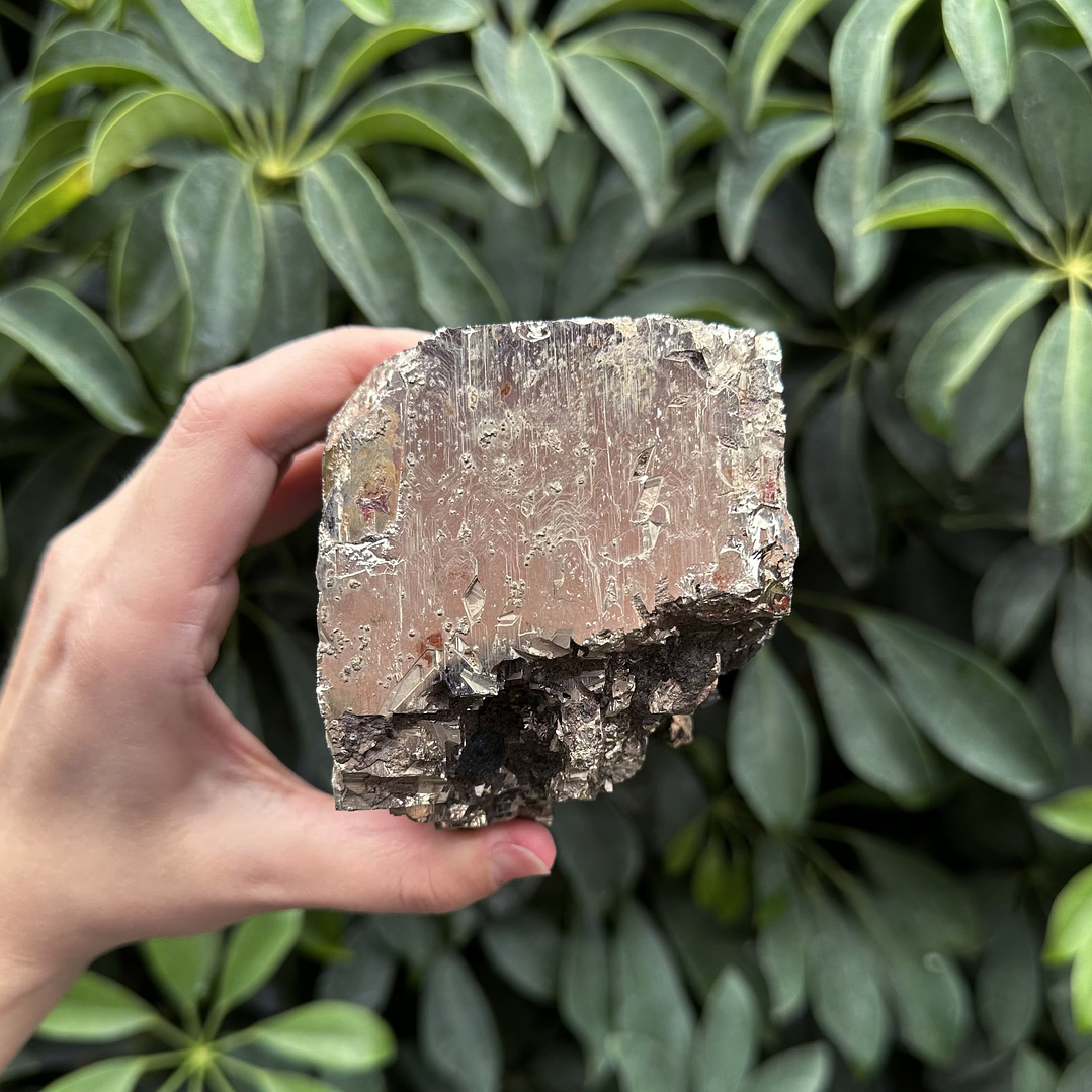 Pirita cúbica fragmento en bruto #26 5