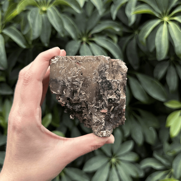 Pirita cúbica fragmento en bruto #26 3