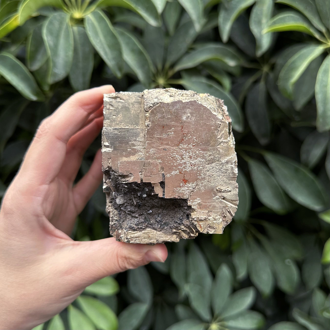 Pirita cúbica fragmento en bruto #26 4