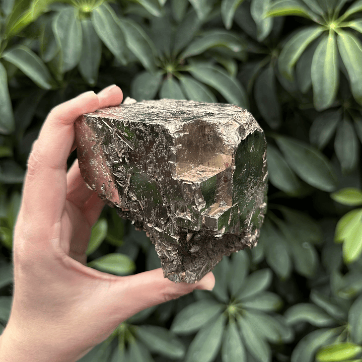 Pirita cúbica fragmento en bruto #26 1