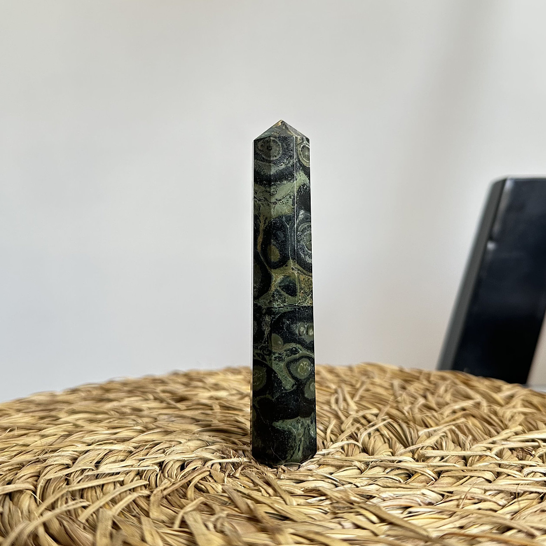 Jaspe Cocodrilo en obelisco #1 1