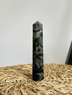 Jaspe Cocodrilo en obelisco #1