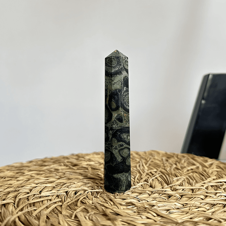 Jaspe Cocodrilo en obelisco #1 1