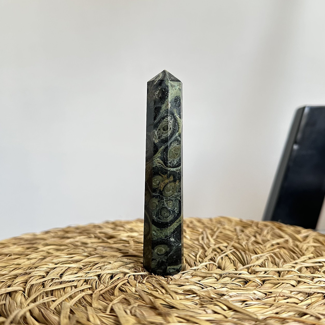 Jaspe Cocodrilo en obelisco #1 2