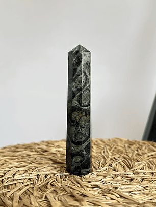 Jaspe Cocodrilo en obelisco #1