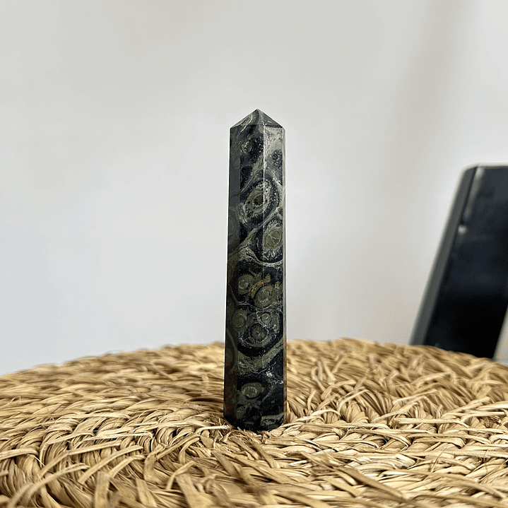 Jaspe Cocodrilo en obelisco #1 2