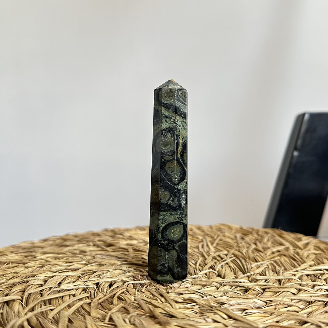 Jaspe Cocodrilo en obelisco #1 3