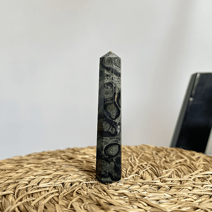 Jaspe Cocodrilo en obelisco #1 3