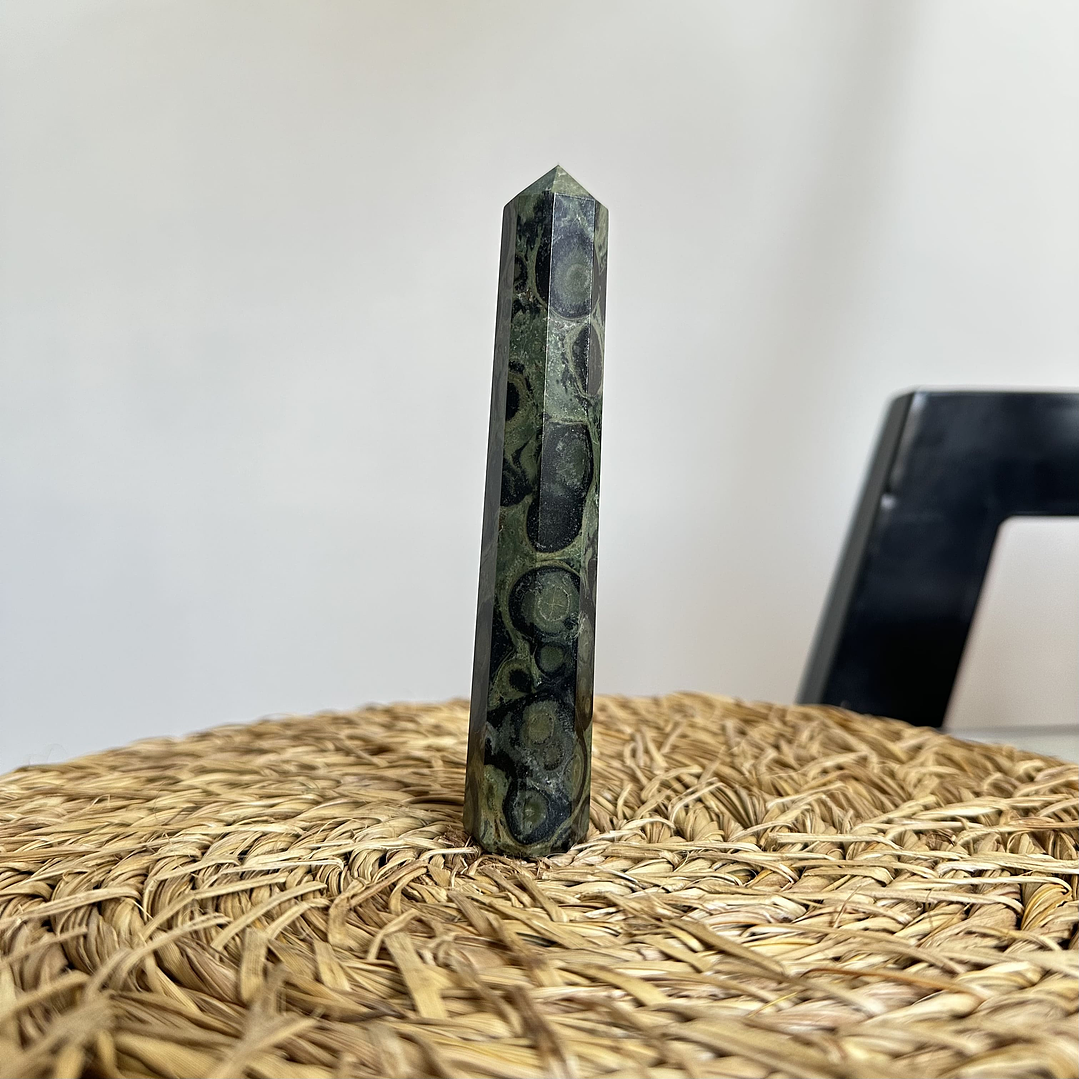 Jaspe Cocodrilo en obelisco #2 1